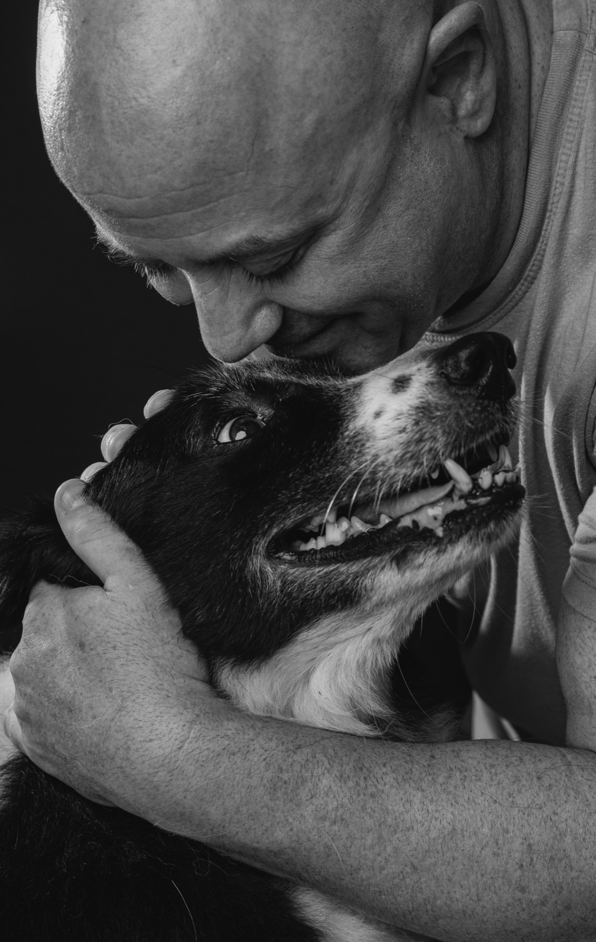 Retrato pet por Gabriel Nabi — NABI6825.jpg